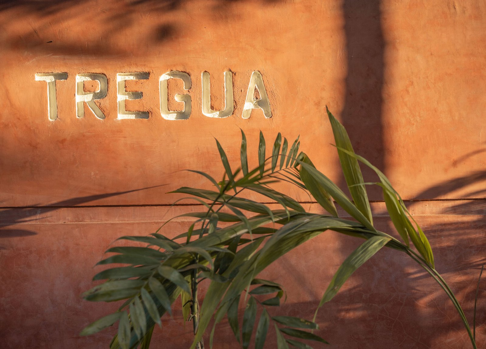 TREGUA-64-EDIT